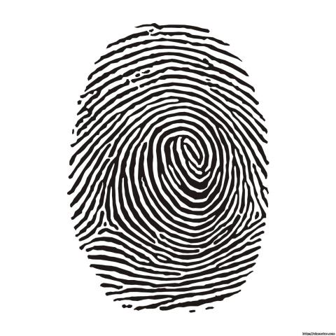 fingerprint