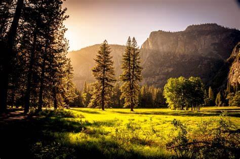 Picture of the outdoors