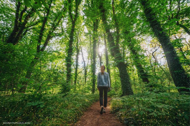 Picture of a person walking in the woods